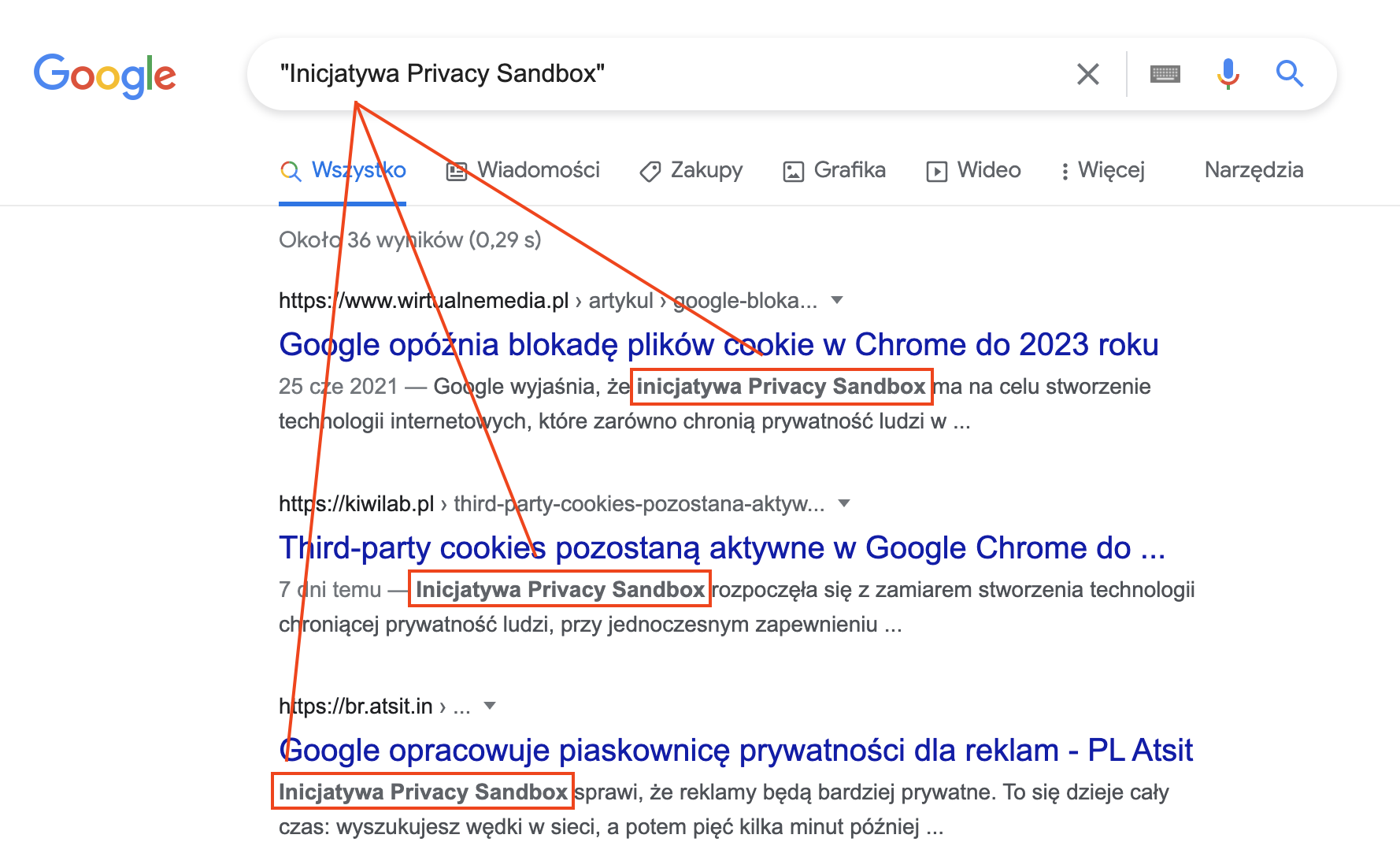 Wyniki wyszukiwania Google - Inicjatywa Privacy Sandbox